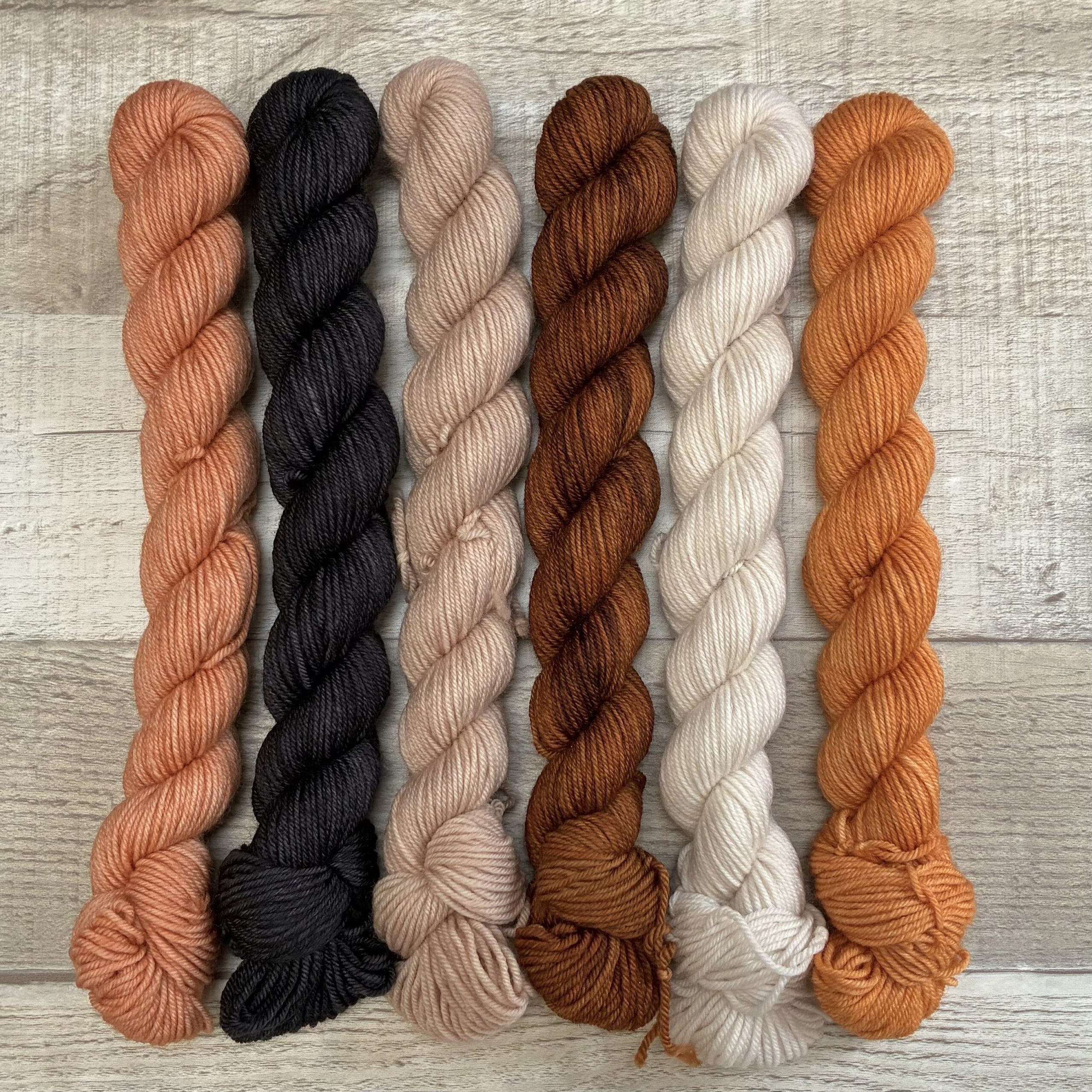 Rhinebeck FOMO 2025 6 Skein mini set