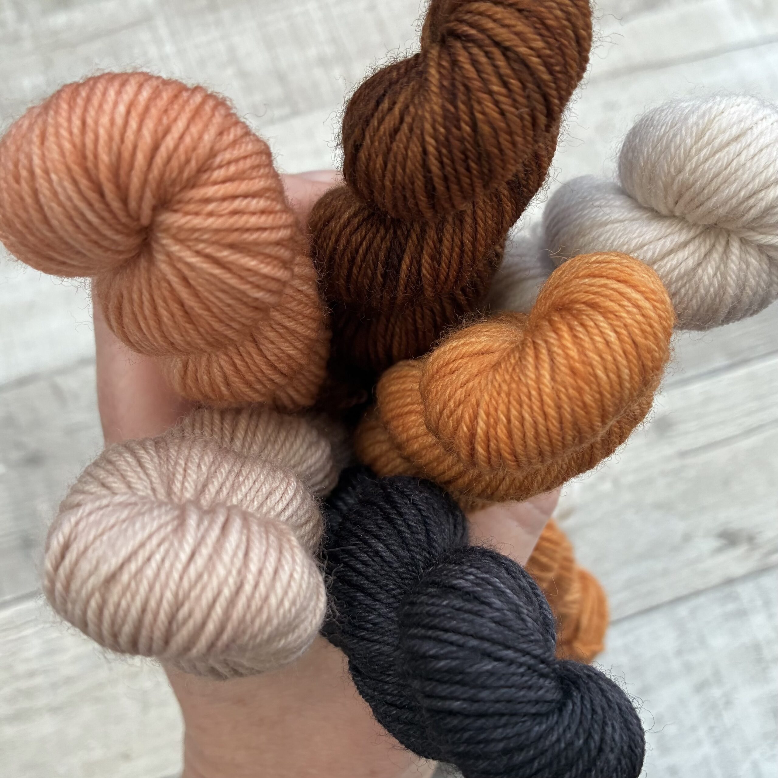 Rhinebeck FOMO 2025 6 Skein mini set - Image 2