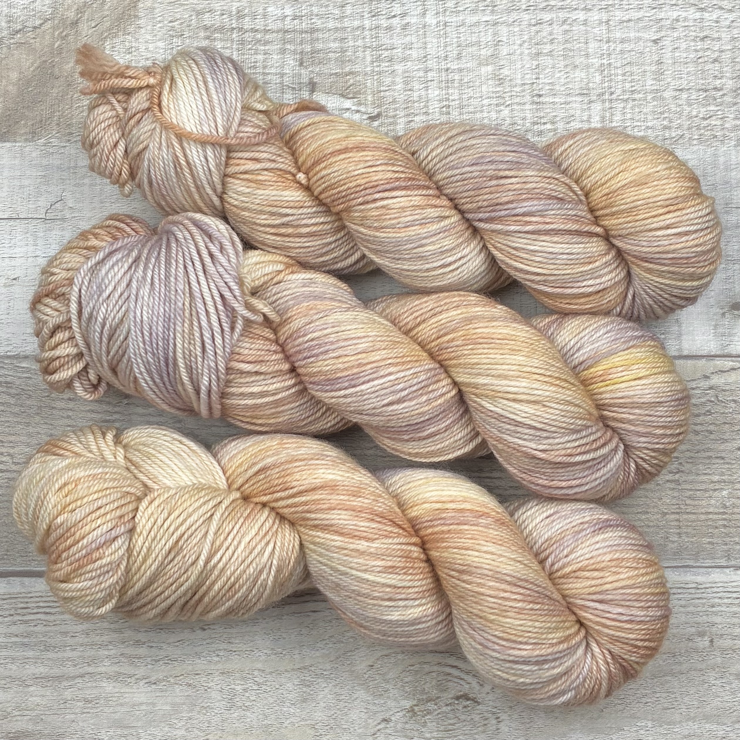 Blewit - Splendid Dk